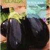 comprar semillas de berejena en Salamanca