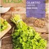 comprar semillas de cilantro en Salamanca