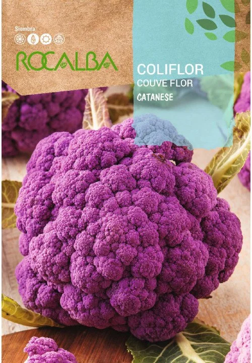 comprar semillas de coliflor morada en Salamanca