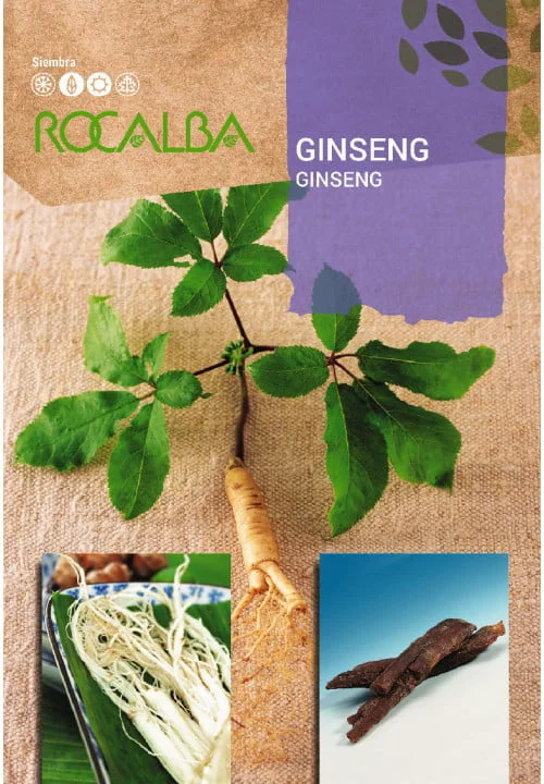 comprar semillas de ginseng en Salamanca