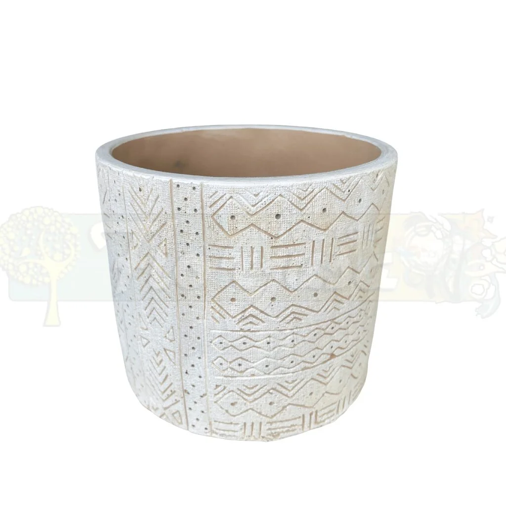 maceta especial para orquídeas en Salamanca