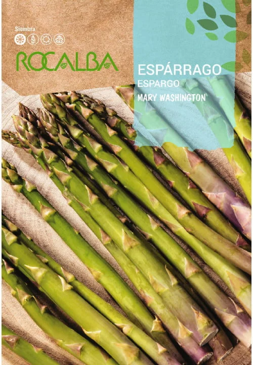 plantar semillas esparragos en Salamanca