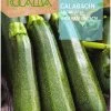 semillas calabacin en Salamanca