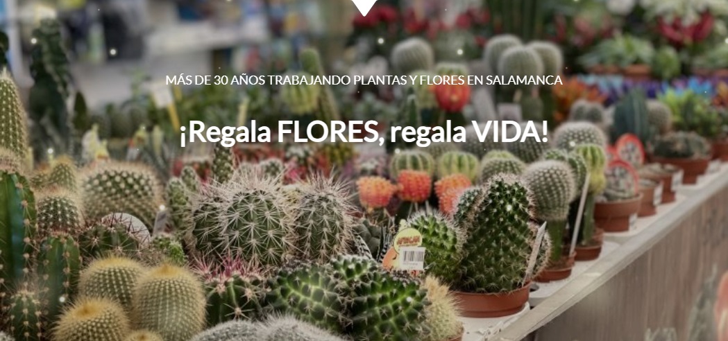 Viveros Florjusa S.L., floristerías en Salamanca